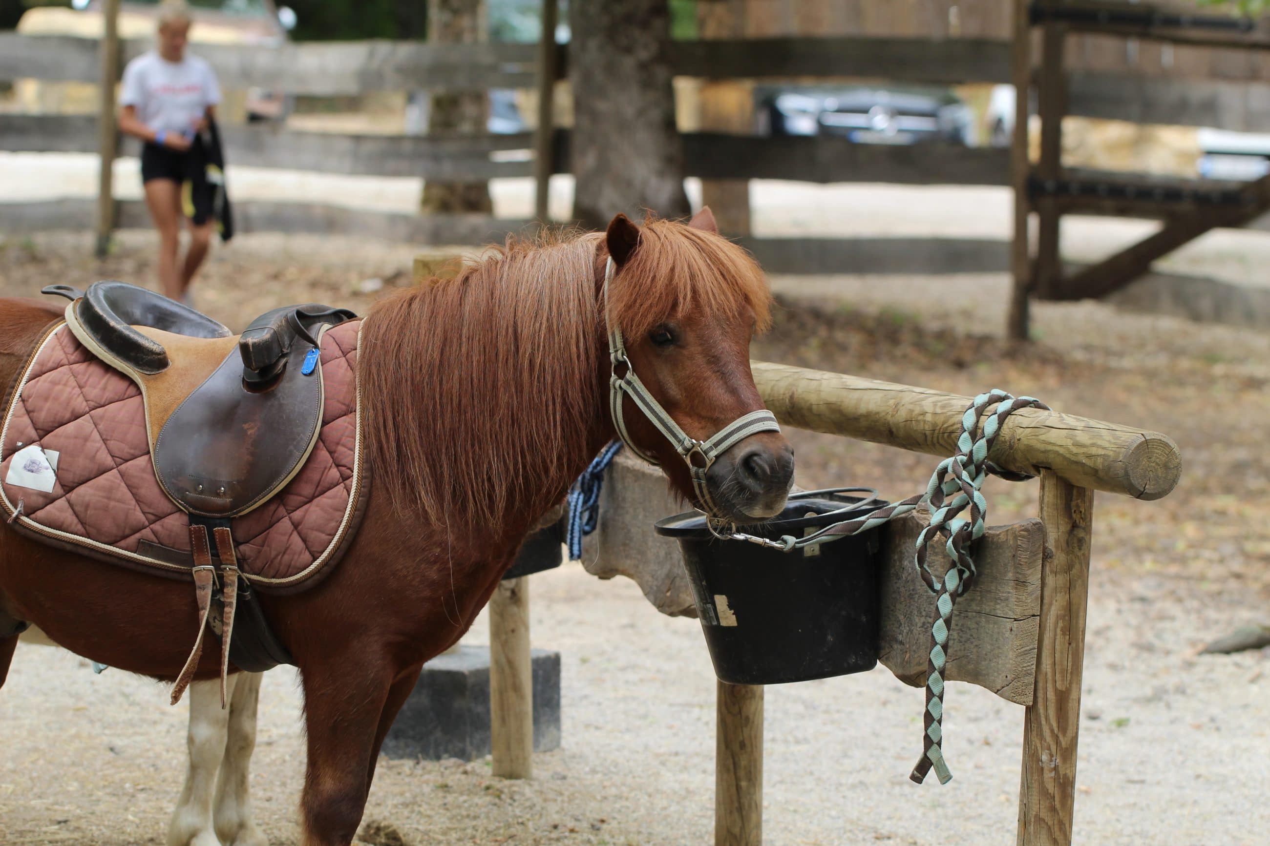 Balade à poney dès 2 ans à Pokeyland