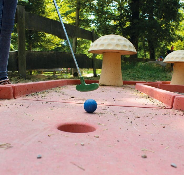 Mini-golf