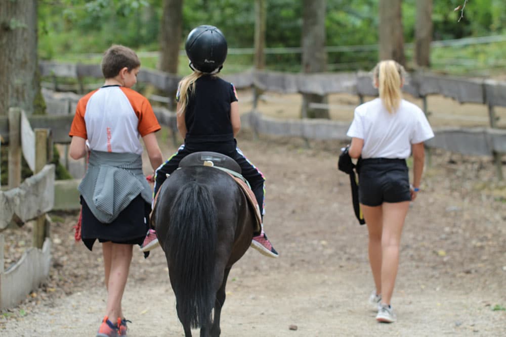 Découvrir en vidéo: Poney