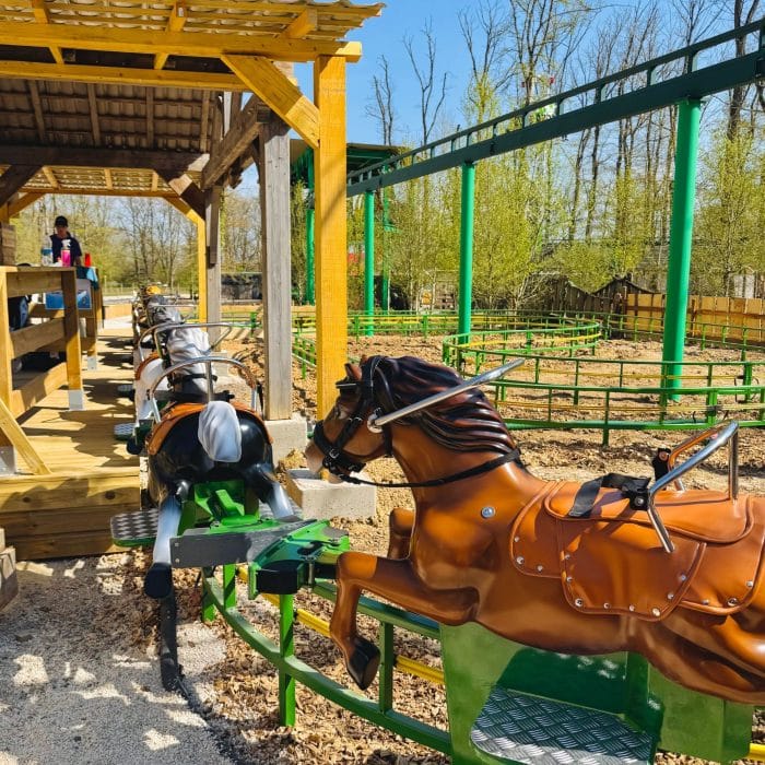 Les p&rsquo;tits chevaux